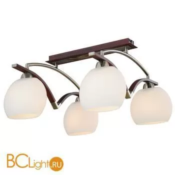 Потолочный светильник ST Luce SL196.302.04