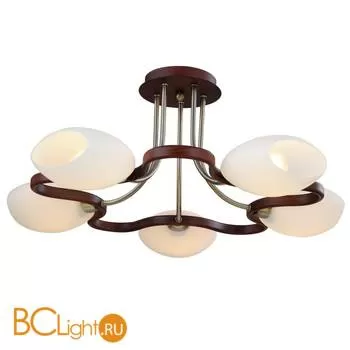 Потолочная люстра ST Luce SL196.302.05