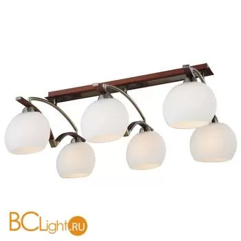 Потолочный светильник ST Luce SL196.302.06