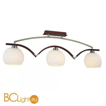 Потолочный светильник ST Luce SL196.332.03