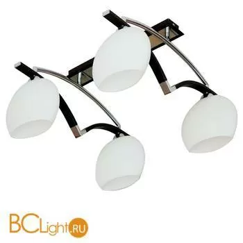 Потолочная люстра ST Luce SL196.702.04