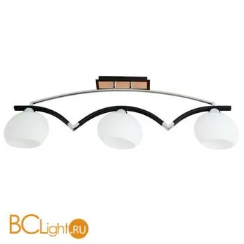 Потолочный светильник ST Luce SL196.772.03