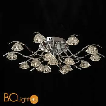 Потолочная люстра ST Luce SL205.102.16