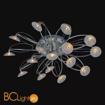 Потолочная люстра ST Luce SL213.102.16