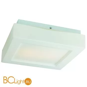 Потолочный светильник ST Luce SL504.502.02