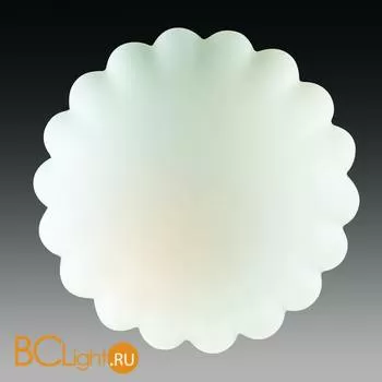 Потолочный светильник ST Luce SL505.502.01