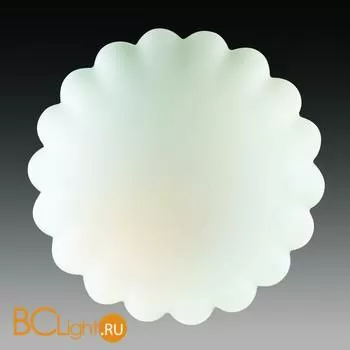 Потолочный светильник ST Luce SL505.502.02