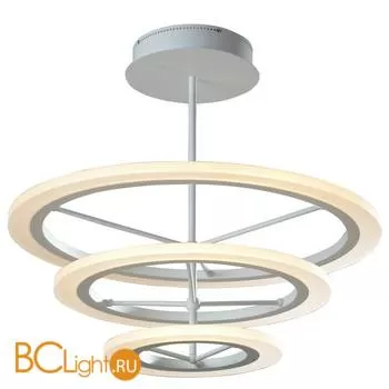 Потолочный светильник ST Luce SL866.502.03