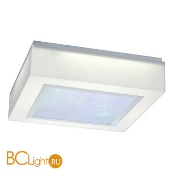 Потолочный светильник ST Luce SL885.502.04
