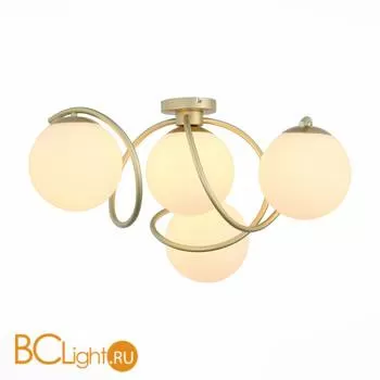 Потолочная люстра ST Luce Acini SL711.202.04