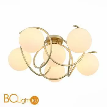 Потолочная люстра ST Luce Acini SL711.202.06