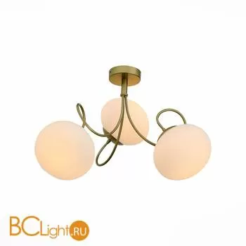 Потолочная люстра ST Luce Acini SL717.202.03