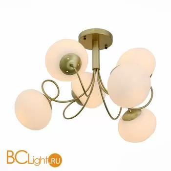 Потолочная люстра ST Luce Acini SL717.202.06