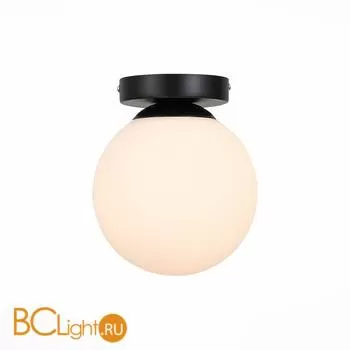 Потолочный светильник ST Luce Acini SL717.401.01