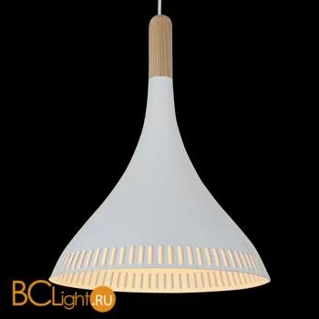 Подвесной светильник ST Luce SL710.503.01
