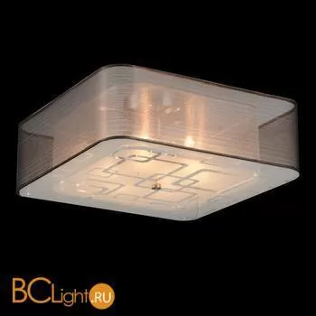 Потолочный светильник ST Luce SL940.802.06