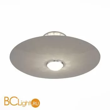 Потолочный светильник ST Luce Alcosa SL931.502.01