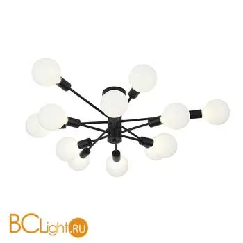 Потолочная люстра ST Luce Ano SL419.402.12