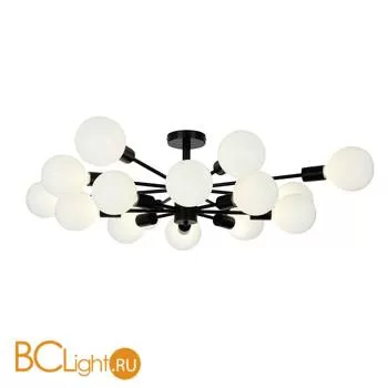 Потолочная люстра ST Luce Ano SL419.402.16