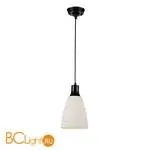 Подвесной светильник ST Luce Arabic SL236.453.01 - Фото 0