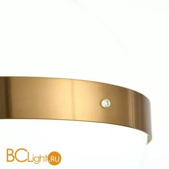 Подвесной светильник ST Luce Arbe SL1157.303.01 - Фото 2