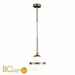 Подвесной светильник ST Luce Arbe SL1157.303.01 - Фото 1