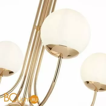 Люстра ST Luce Avellino SL1504.203.05 - Фото 1