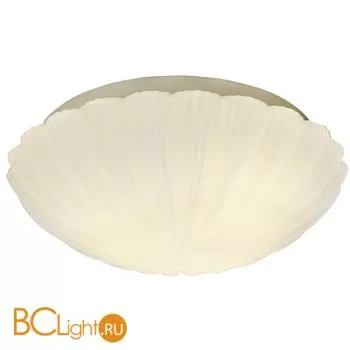 Потолочный светильник ST Luce Bagno SL495.502.03