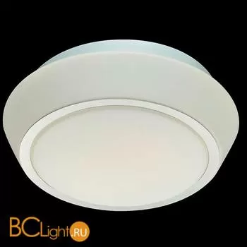 Потолочный светильник ST Luce Bagno SL496.502.01
