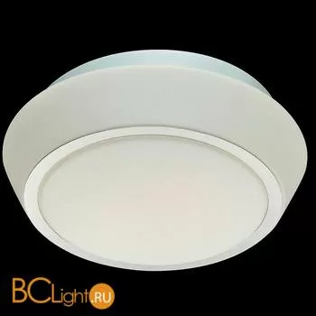 Потолочный светильник ST Luce Bagno SL496.502.02