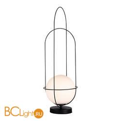 Настольный светильник ST Luce Beata SL1189.404.01