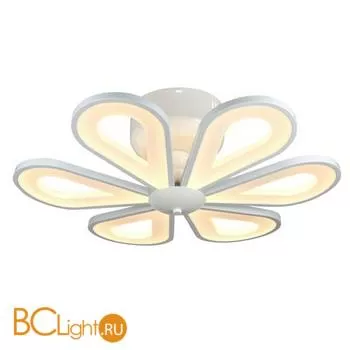 Потолочный светильник ST Luce SL862.502.06