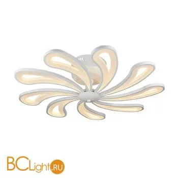 Потолочный светильник ST Luce SL862.502.09