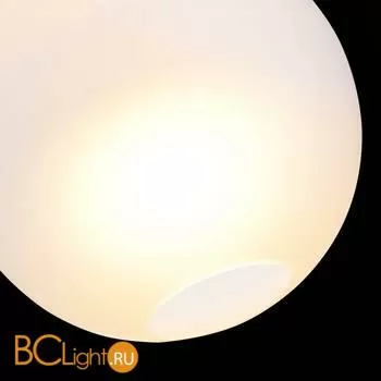 Подвесной светильник ST Luce Bopone SL1133.523.01 - Фото 4