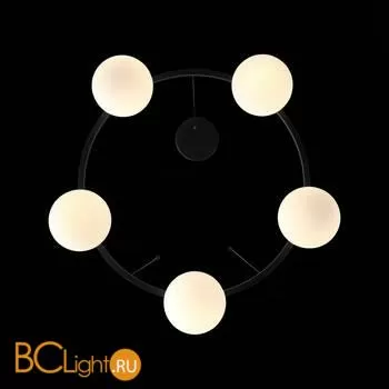 Подвесной светильник ST Luce Botelli SL1581.403.05 - Фото 6