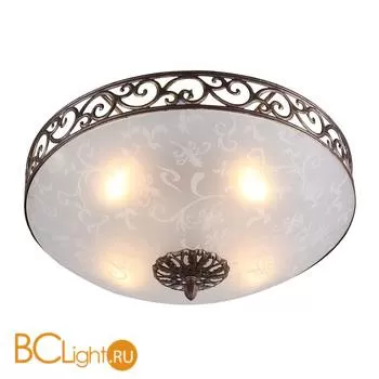 Потолочный светильник ST Luce Branches SL244.202.04