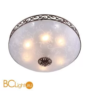 Потолочный светильник ST Luce Branches SL244.202.06