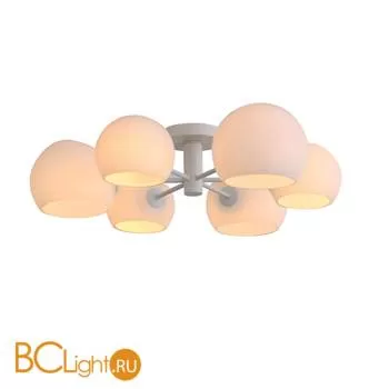 Потолочная люстра ST Luce Calmare SL434.502.06