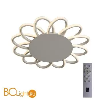 Потолочный светильник ST Luce Camomilla SL828.502.12