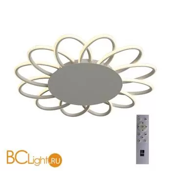 Потолочный светильник ST Luce Camomilla SL828.512.12