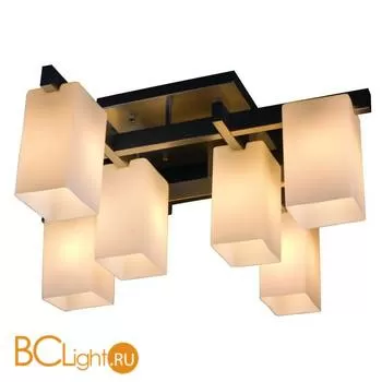 Потолочная люстра ST Luce SL541.102.06