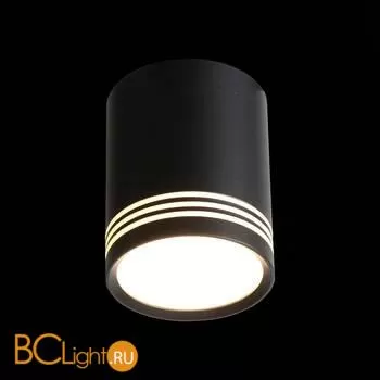 Спот ST Luce Cerione ST101.442.12 - Фото 2