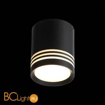 Спот ST Luce Cerione ST101.442.05 - Фото 2