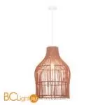 Подвесной светильник ST Luce CESTA SL1513.513.01