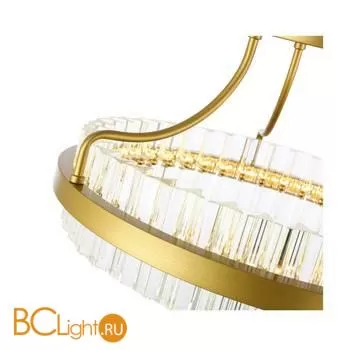 Подвесной светильник ST Luce Cherio SL383.202.01 - Фото 1