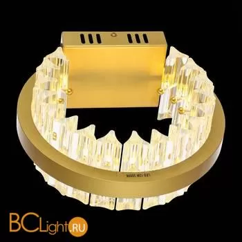 Настенный светильник ST Luce Cherio SL383.201.01 - Фото 2