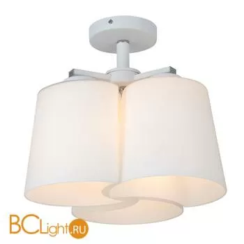 Потолочный светильник ST Luce SL543.502.03