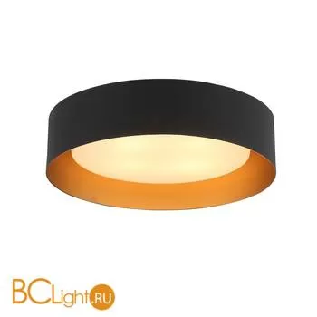 Потолочный светильник ST Luce Chio SL392.422.04