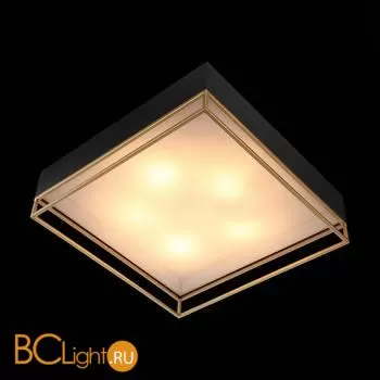 Потолочный светильник ST Luce Chodo SL1127.422.05 - Фото 5