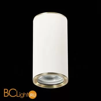 Потолочный светильник ST Luce Chomus ST111.537.01